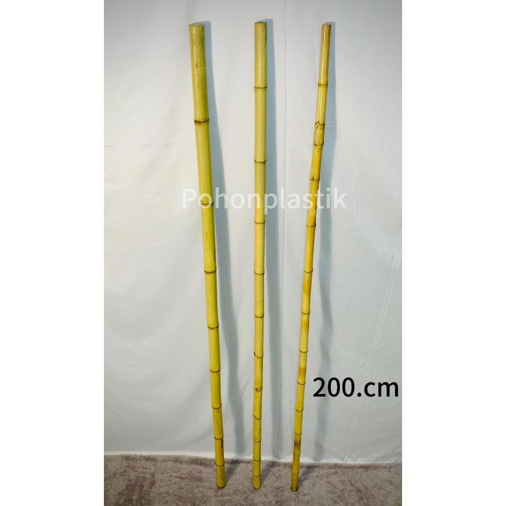 T-56 Bambu Asli Cendani 2 Meter / 1,5Meter / 1 Meter ( 1Pcs ) Diameter Kecil & Besar ( 1Cm Sampai 3C