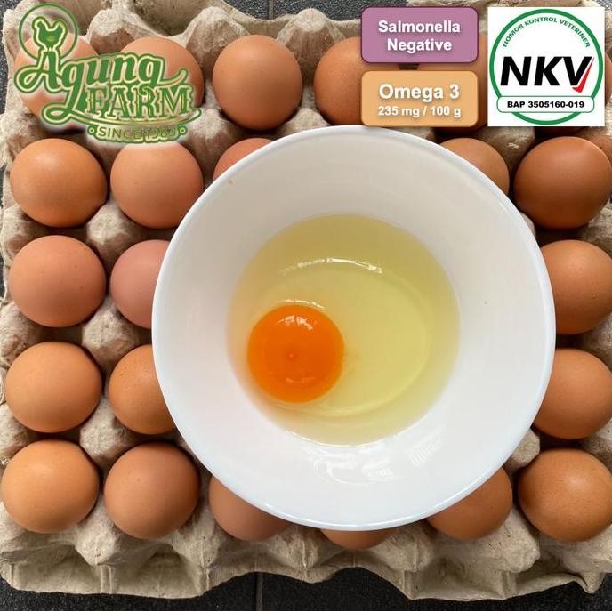 

Produk Baru!! Telur Omega 3 Tray Isi 30 Butir - Telur Segar Langsung dari Kandang NKV