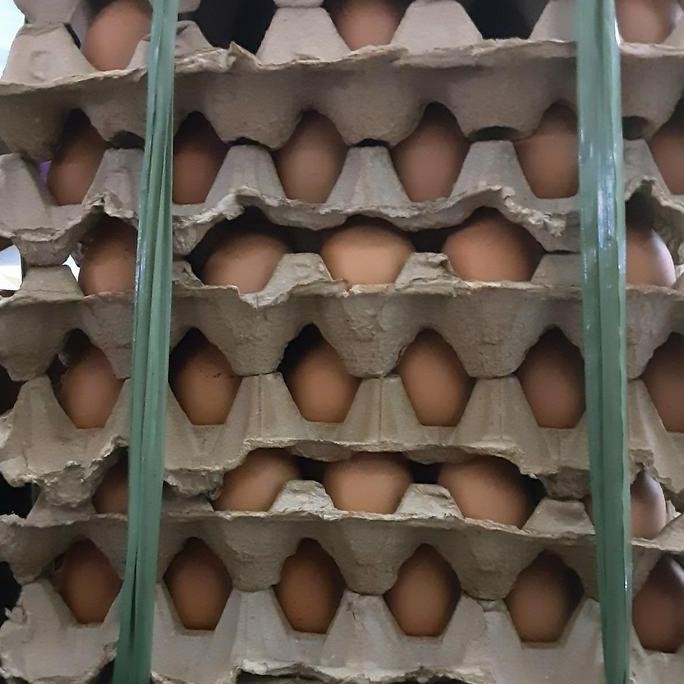 

Produk Baru!! Telur Ayam Negeri Fresh Bersih 10kg - Farm Lokal Sukabumi Tangerang