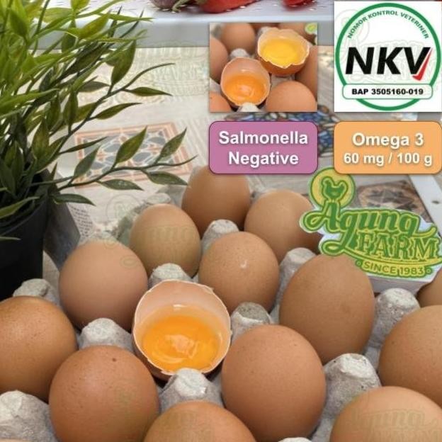 

Produk Baru!! Telur Ayam Negeri Segar 1 Kg - Curah dari Kandang Bersertifikat NKV