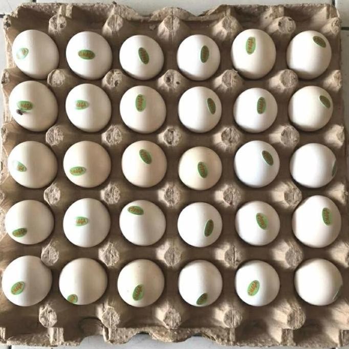 

Produk Baru!! Telur Kampung Omega 3 Isi 30 Butir - Telur Organik Bergizi