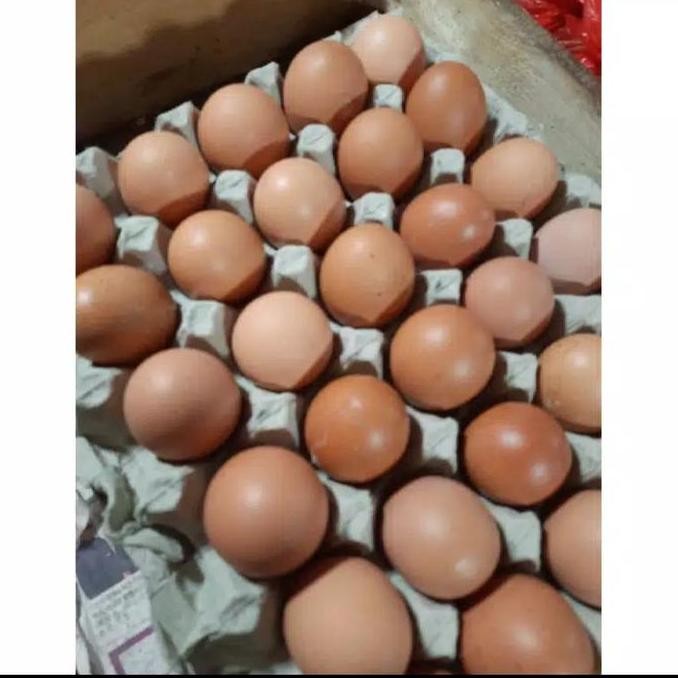 

Produk Baru!! Telur Ayam Negeri 1kg Segar Langsung dari Kandang