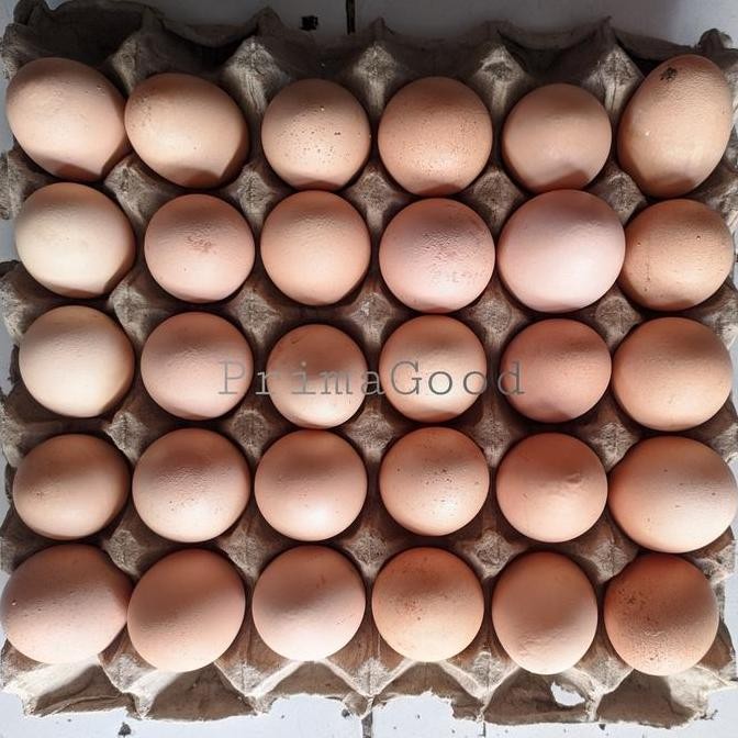 

Produk Baru!! Telur Ayam Negeri Putih 1kg Telur Curah Segar Bergizi