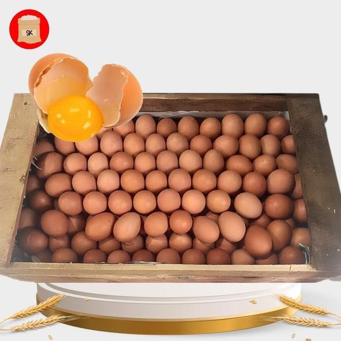 

Produk Baru!! Telur Ayam Negeri Fresh Per Kg Langsung Dari Peternakan