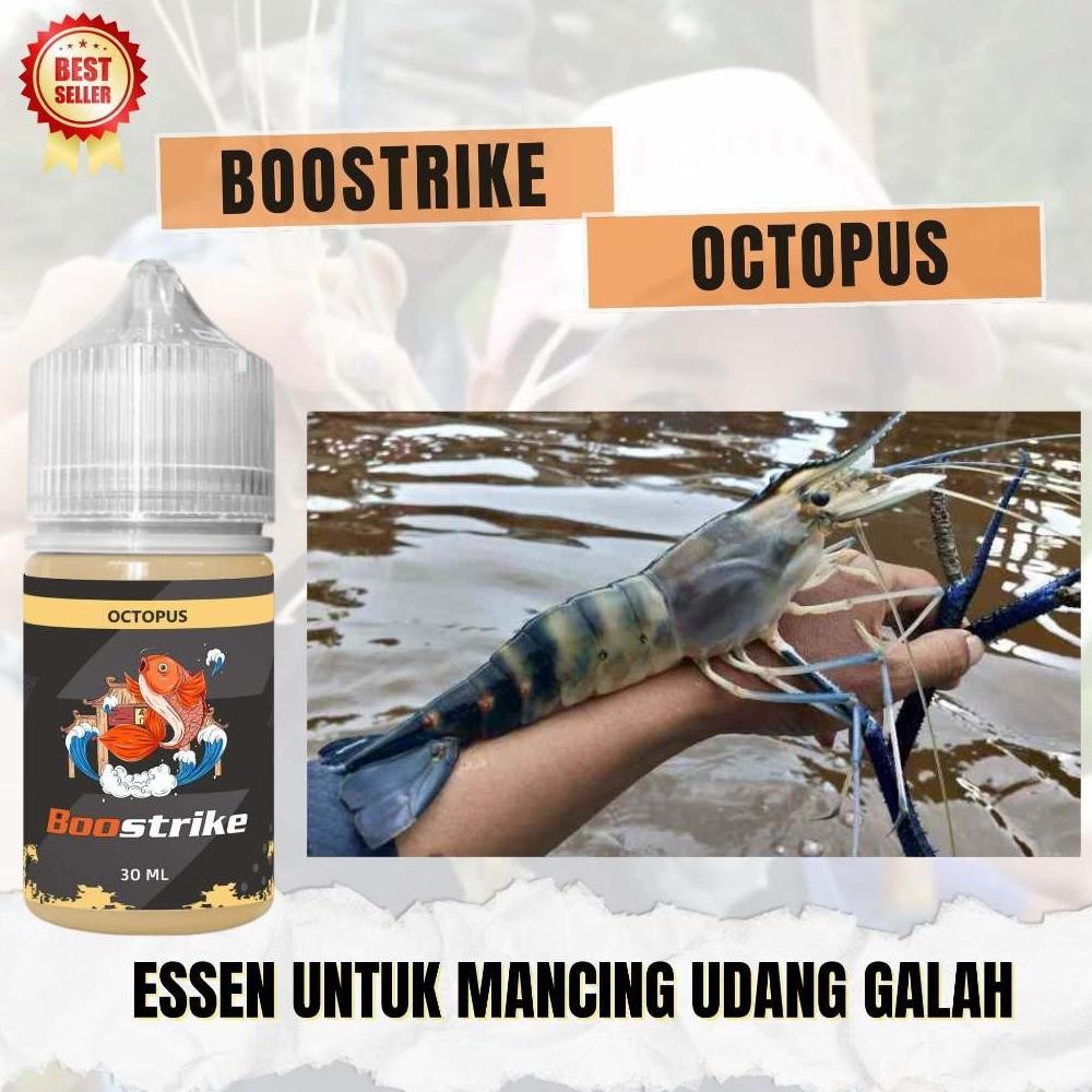 ESSEN MANCING UDANG GALAH LIAR PALING JITU Nugi