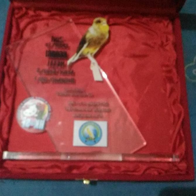 

Baru Box bludru ukuran plakat 30x30 cm