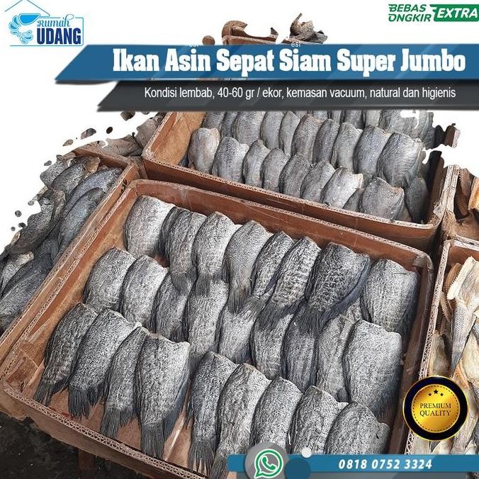 

Ikan Asin Sepat Siam Super Jumbo (Ikan Asin Premium) #Gratisongkir
