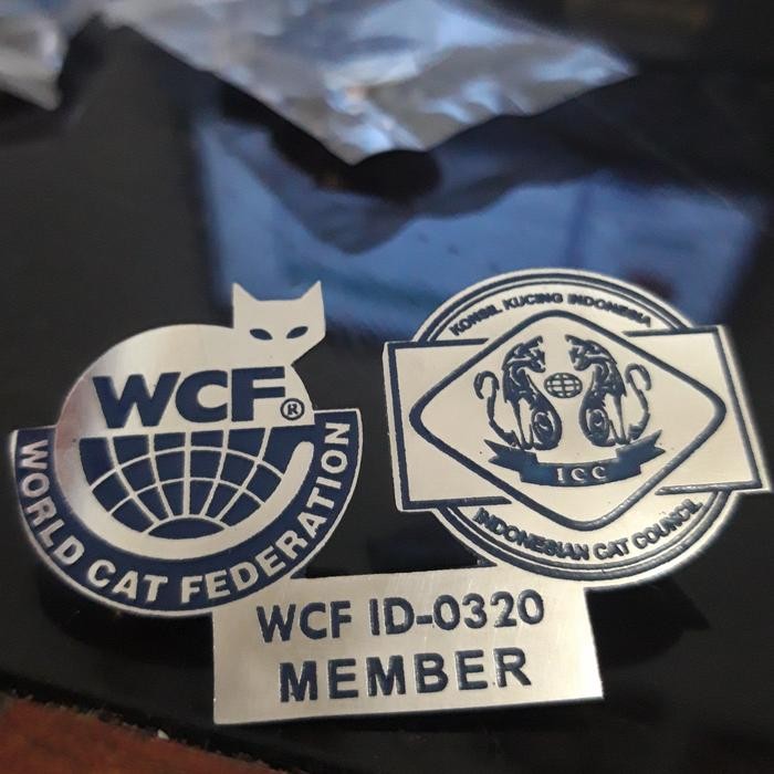 Pin Logo/ Pin Custom/ Pin Design/ Pin Grafir/ Pin Stainless/Bros Logo