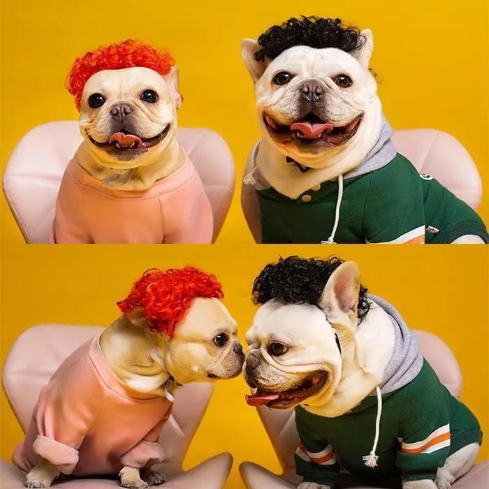 Wig Anjing Dan Wig Kucing Kostum Rambut Palsu Hewan Pet4052