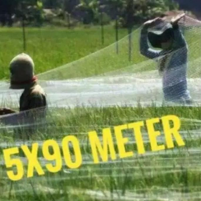 [Expert] JARING BENANG 0,15/ JARING BURUNG EMPRIT 2"/ JARING BURUNG PIPIT/ JARING BURUNG SAWAH/ JARI