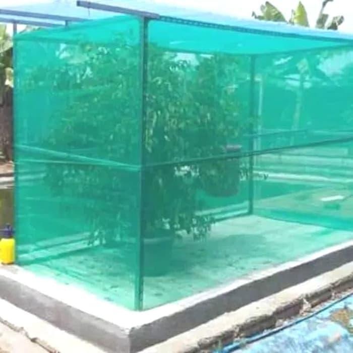 Termurah Dan Terlaris Kandang Jaring Lalat Bsf Maggot Original Dan Terpercaya
