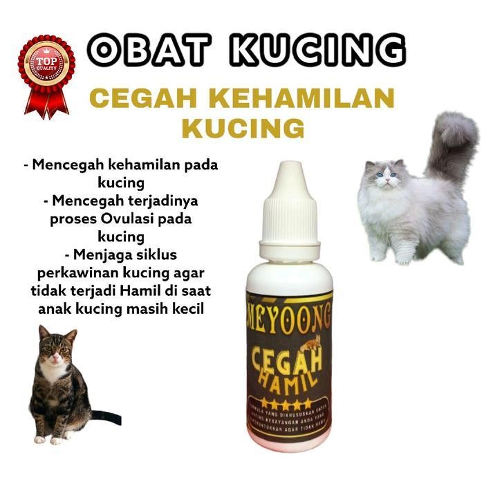 PZM Vitamin Kucing anti hamil mencegah kehamilan Kucing