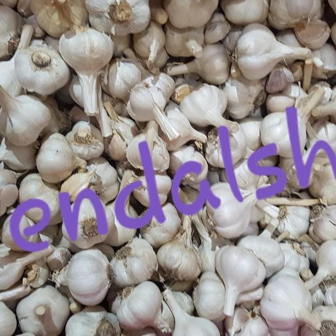 

Original Bawang Putih Kating Super Premium 1kg - Bawang Putih Kupas Segar untuk Masakan