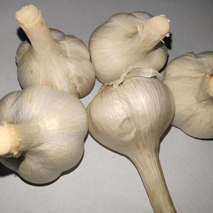 

Original Bawang Putih Kating Super 1kg Bawang Putih Utuh Segar untuk Masakan