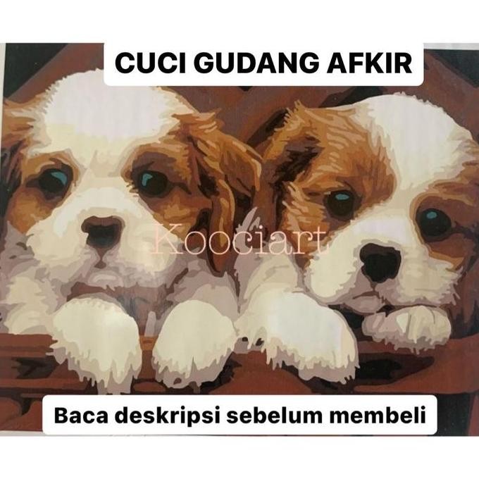 

Painting By Numbers / Alat Lukis / Lukisan / Mewarnai / Gambar (40X50)