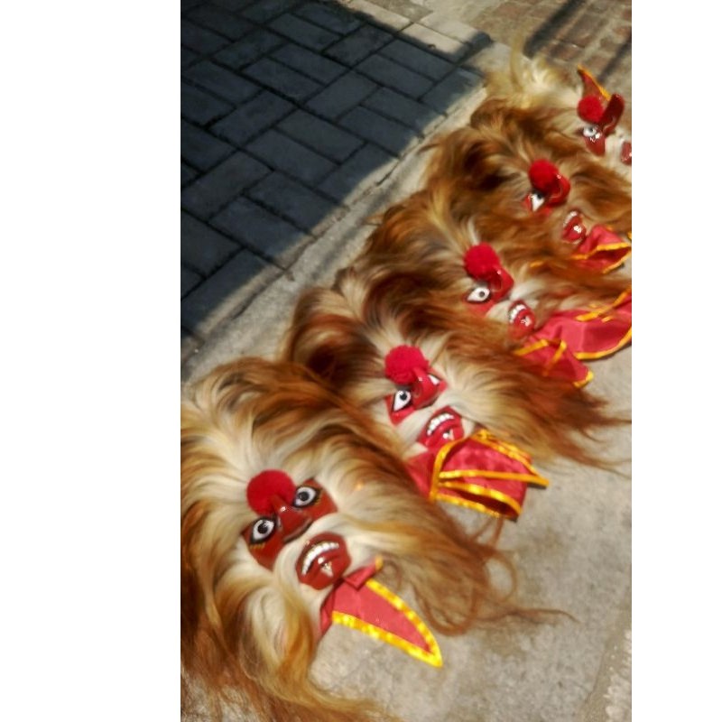 

Ganongan rambut sapi ukuran dewasa