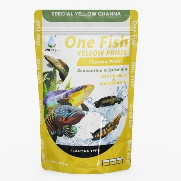 (RATU BEE) ONE FISH SPECIAL YELLOW CHANNA AQUARIUM AKUARIUM IKAN HEWAN PELIHARAN