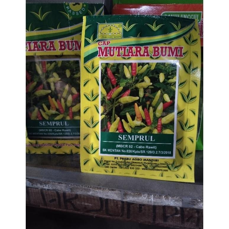 Benih Cabe Rawit SEMPRUL 10 gr|SEMPRUL 10gr|benih cabe rawit|Cap mutiara bumi|Benih cabai SEMPRUL 10