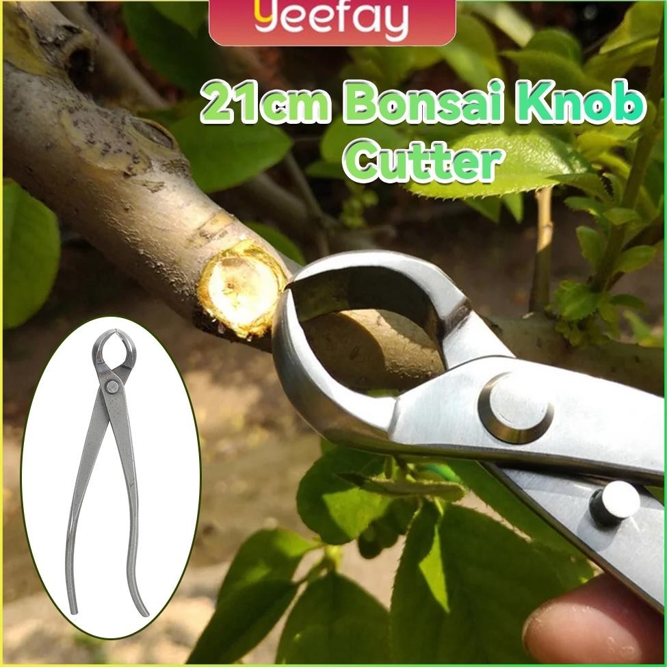 Catok Bonsai Cembung 21cm Knob Cutter/Mirring Cutter Baja Tahan Karat Penuh Catut Cembung Tanaman Bo