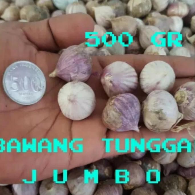 

Diskon! Bawang Putih Lanang 500gr - Bawang Tunggal Alami Segar