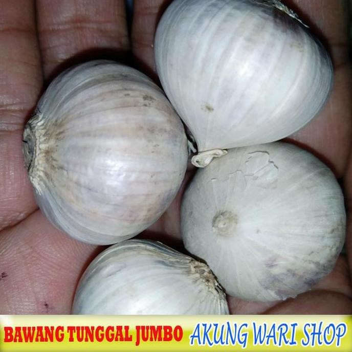 

Diskon! Bawang Putih Tunggal Jumbo 1kg Ukuran Besar Premium