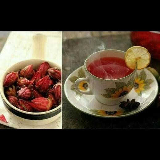 Bibit tanaman bunga rosela/tanaman herbal rosela/bunga teh rosela terbaru