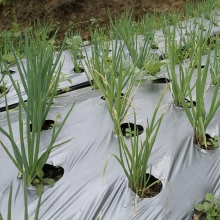 AS plastik mulsa hitam perak, mulsa bell, mulsa sayuran, mulsa eceran