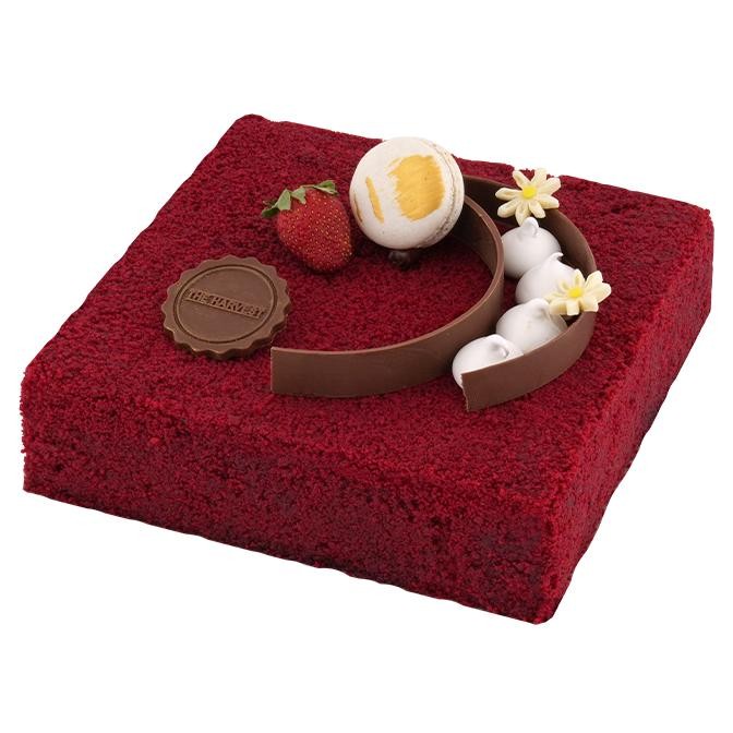 

The Harvest Red Veet 20X20