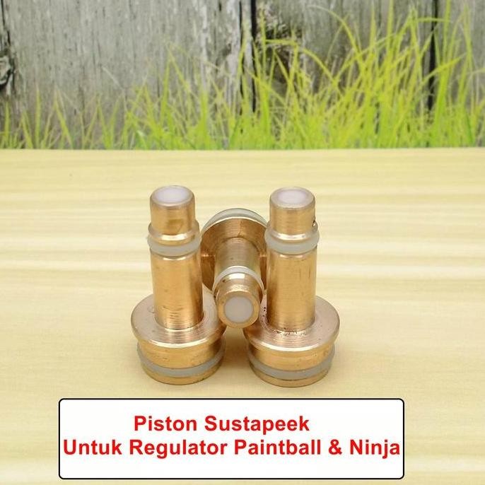 REGULATOR PAINTBALL DISK SPRING JERMAN TYPE D / REGULATOR PAINBAL PINBAL