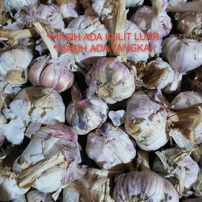 

Diskon! Bawang Putih Kering Honam 1 Kg - Bawang Banci Bersih Siap Pakai Masak