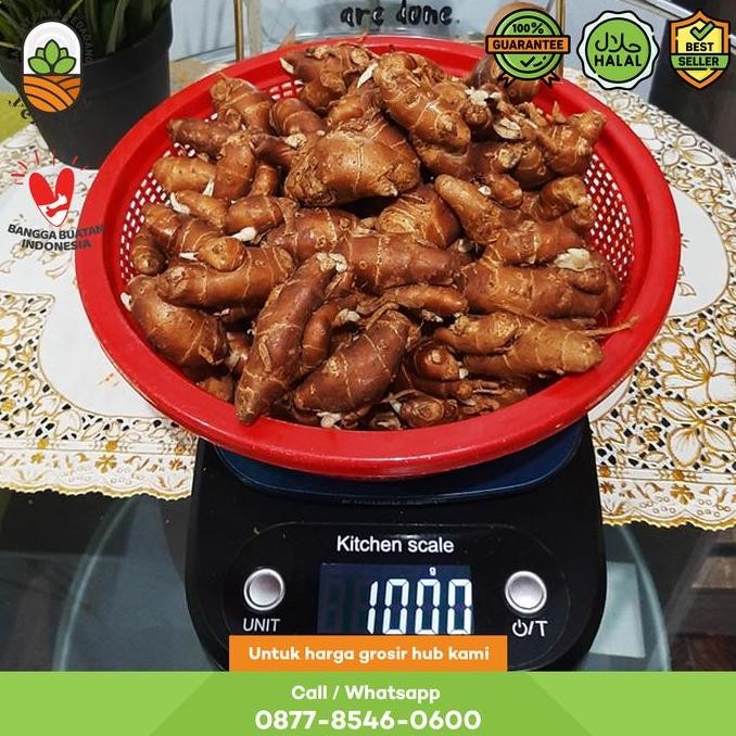 

Diskon! Kencur Kering 1Kg / Kencur Empon Empon Alami Herbal