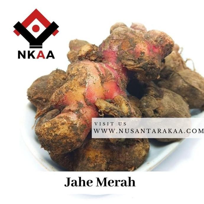 

Diskon! Jahe Merah Segar 1Kg - Herbal Premium