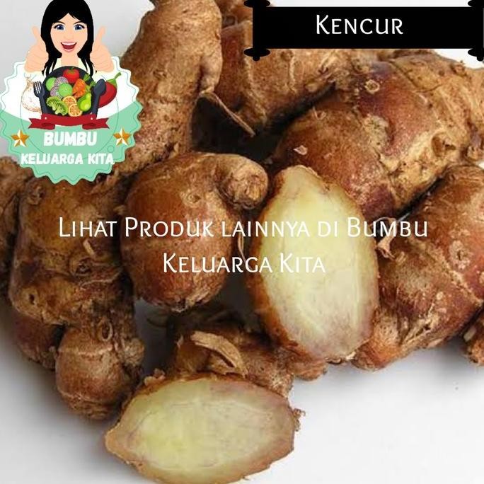 

Diskon! Kencur Segar 1Kg / Cikur / Galangal Fresh Bumbu Masak