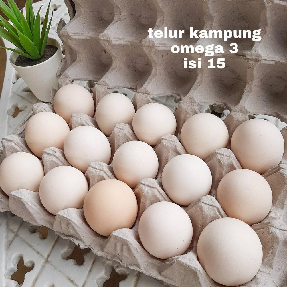 

Telur Ayam Kampung Omega 3 Isi 15 Butir aSt