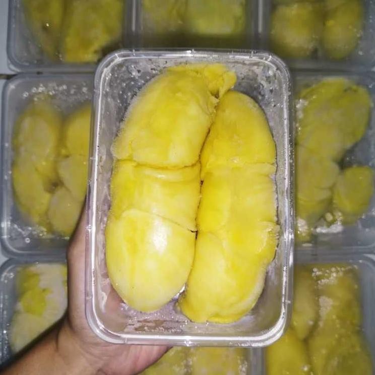

DURIAN MONTONG PALU PREMIUM GARANSI aSt