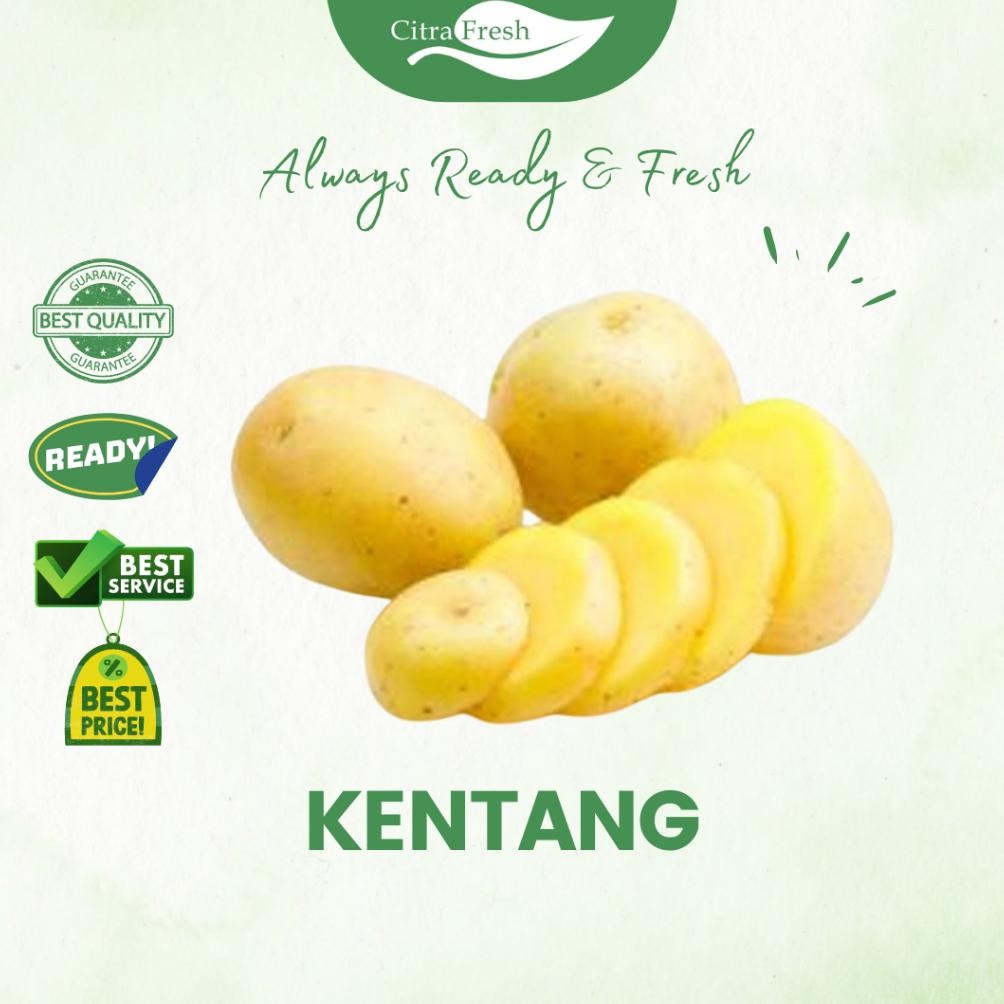 

CITRA FRESH - Kentang 1 Kg - Selalu Ready dan Fresh aSt