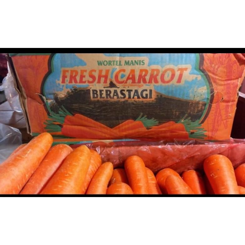 

wortel brastagi 1 dus isi 10 kg aSt