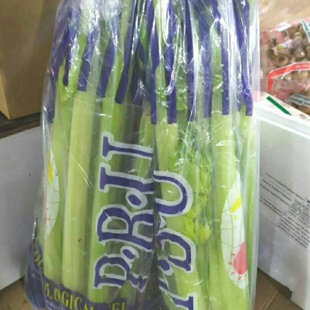 

Seledri/celery stik 500gram aSt