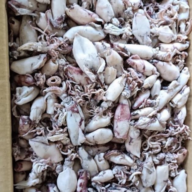 

Cumi asin kering 250 gram halal aSt