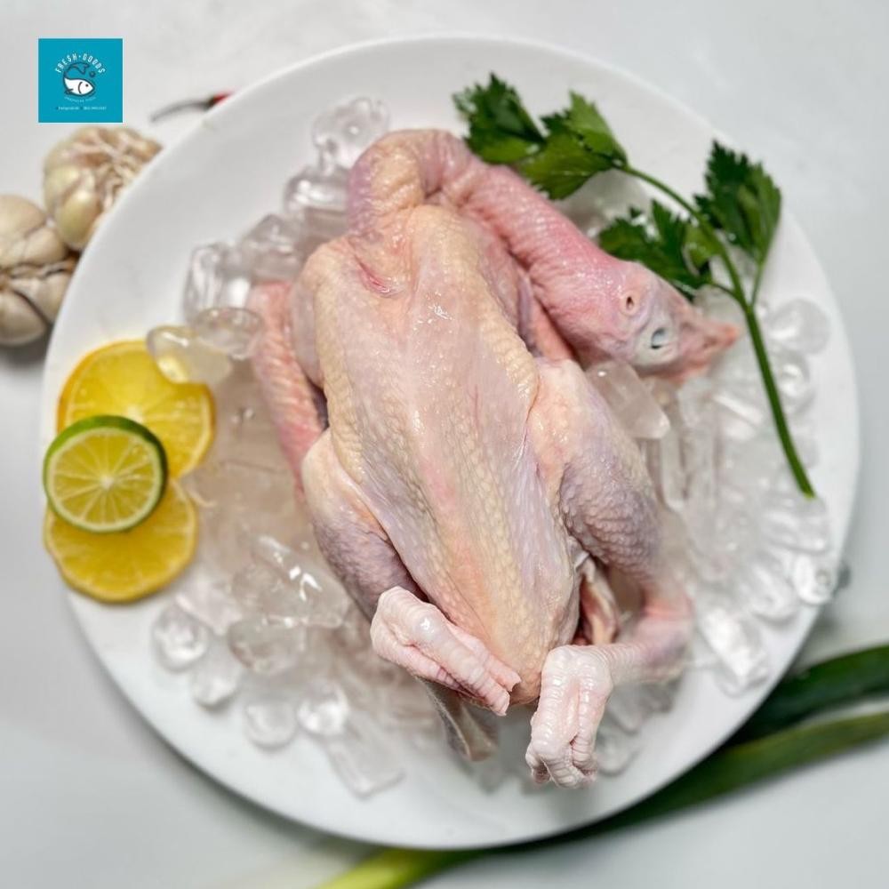 

Ayam Pejantan Kalasan Segar Premium Dijamin Berkualitas By FreshGoods Jakarta Barat (Berat Bersih) aSt