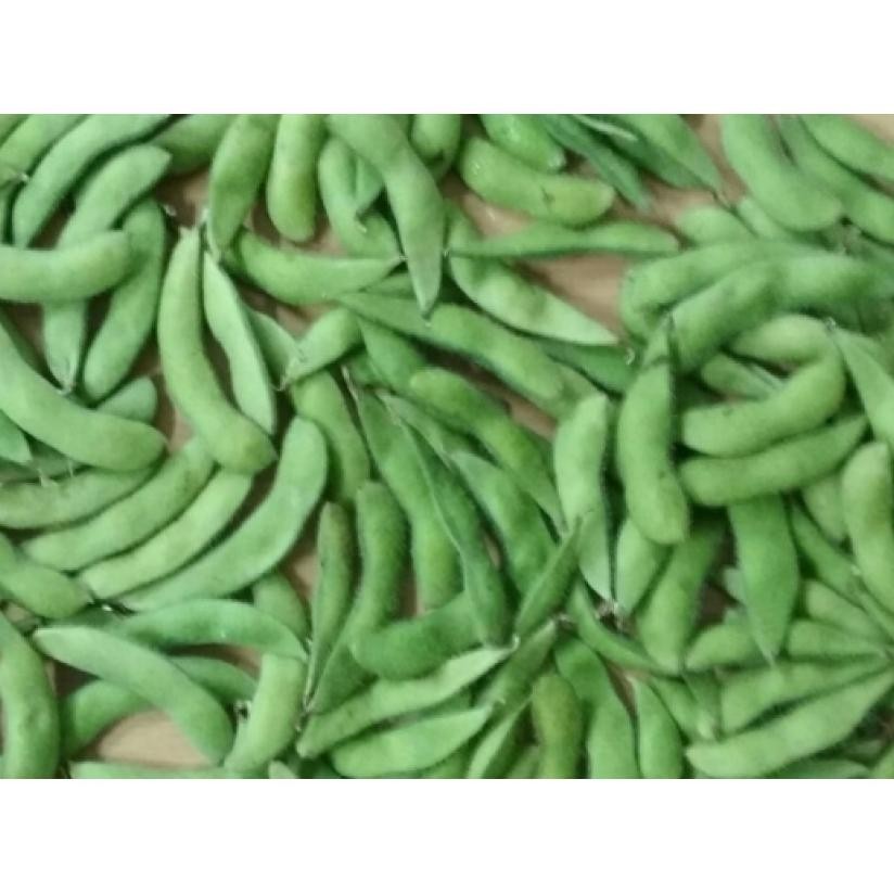 

Edamame / Kedelai Hijau / Green Vegetable Soybeans / 0.5 Kg aSt