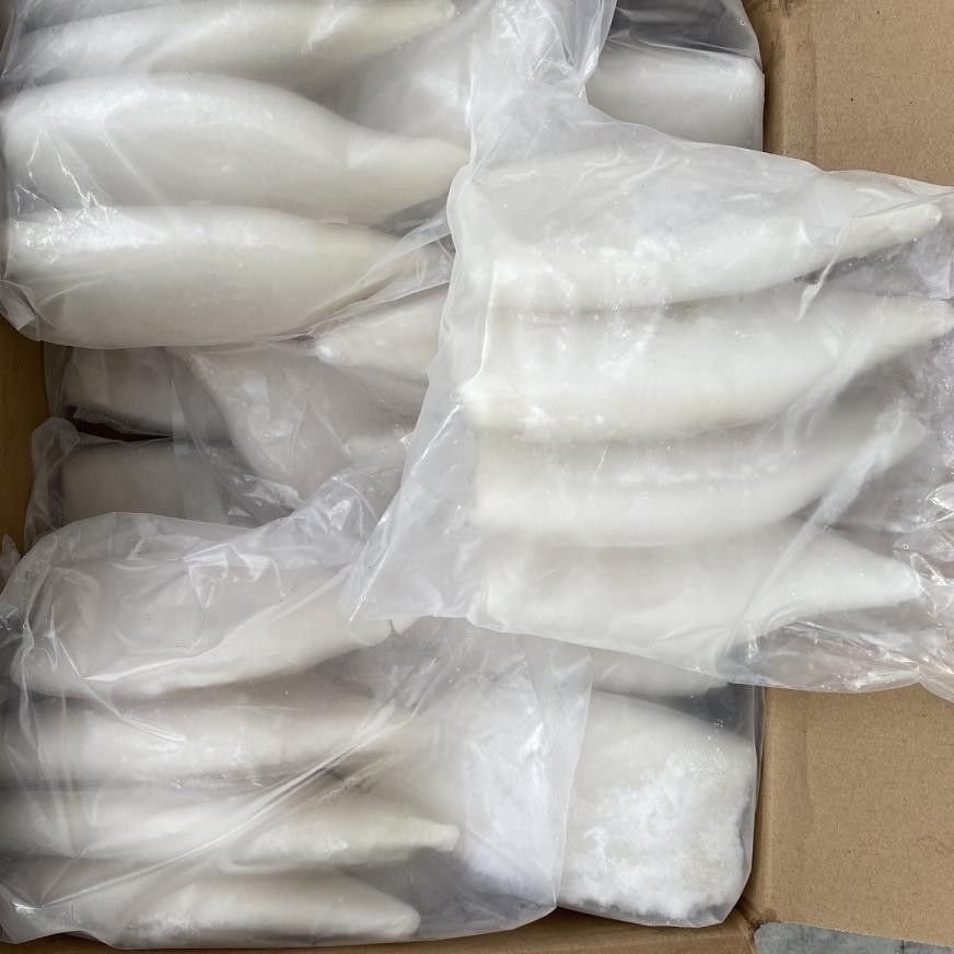 

Cumi Tube Kupas Bersih Segar / Putih Isi 4 Kemasan 1 Kg aSt