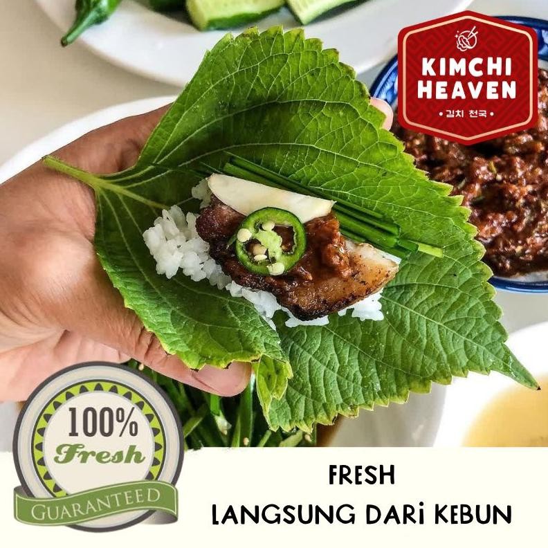 

Daun Perilla 100g / daun kkaenip / perilla leaf / daun bbq wrap korea / lalapan korea / sayur korea / bulgogi aSt