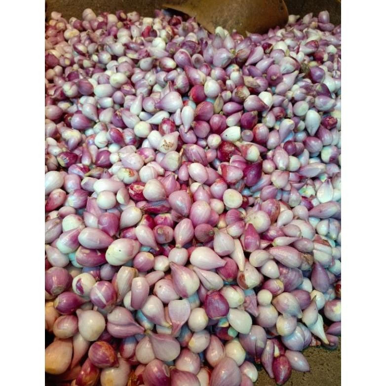 

Bawang Merah Brebes Kupas 500 Gr aSt