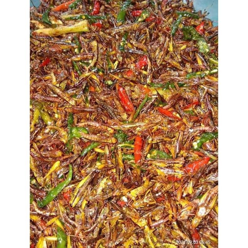 

Belalang Goreng Utes Irisan Cabai Pedas Renyah aSt