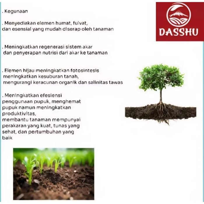 Pupuk Dasshu Z1000 Paket 4 Botol Kemasan 1Kg Free Sendok Takar Pupuk Organik Akar Buah Dan Bunga Ori