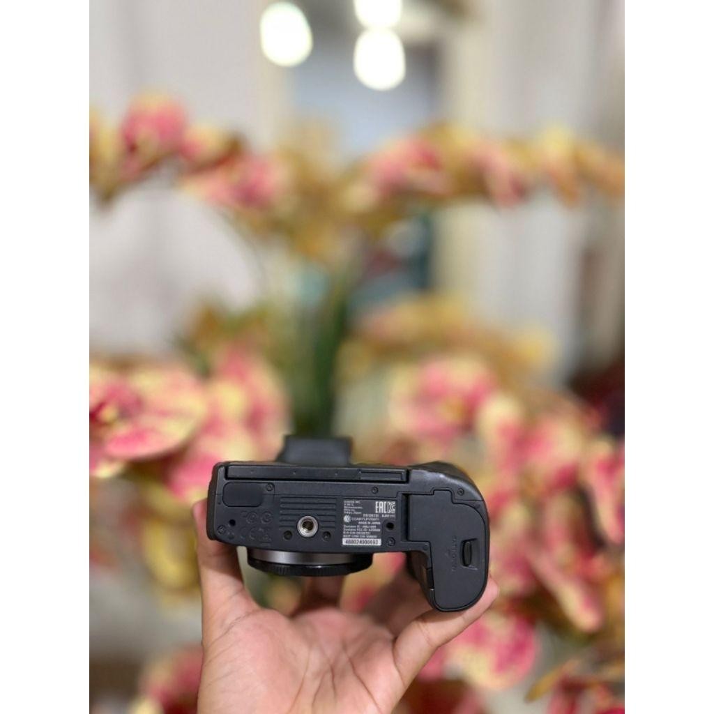 Ls Canon Eos R Bukan Canon Eos Rp Bukan Canon Eos R6 Bukan Canon Eos R10