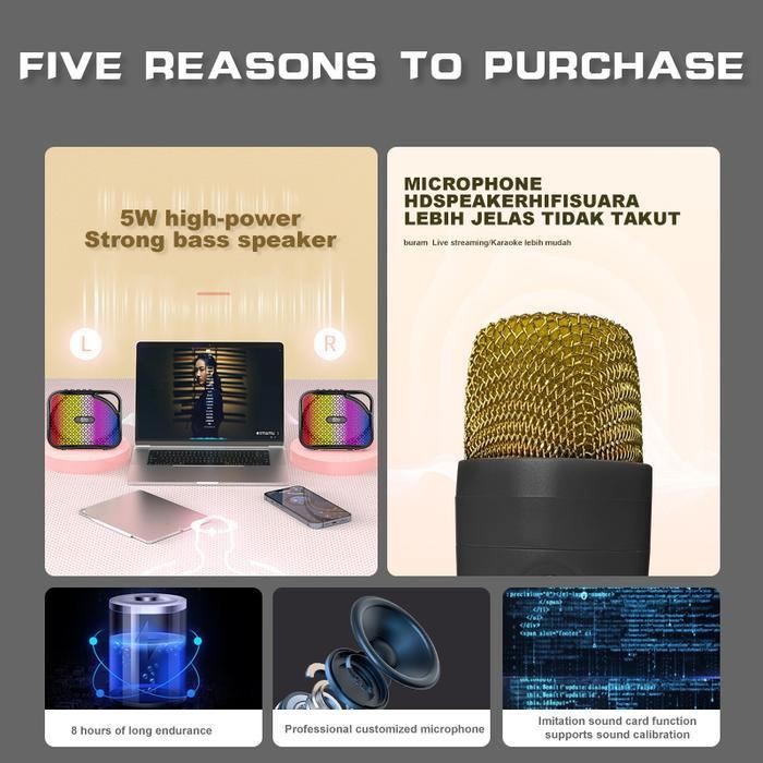 MAIKET Speaker Mini Bluetooth Karaoke 2 Mic Super Bass Portable Wireless Advance MP3 Player Music Bo