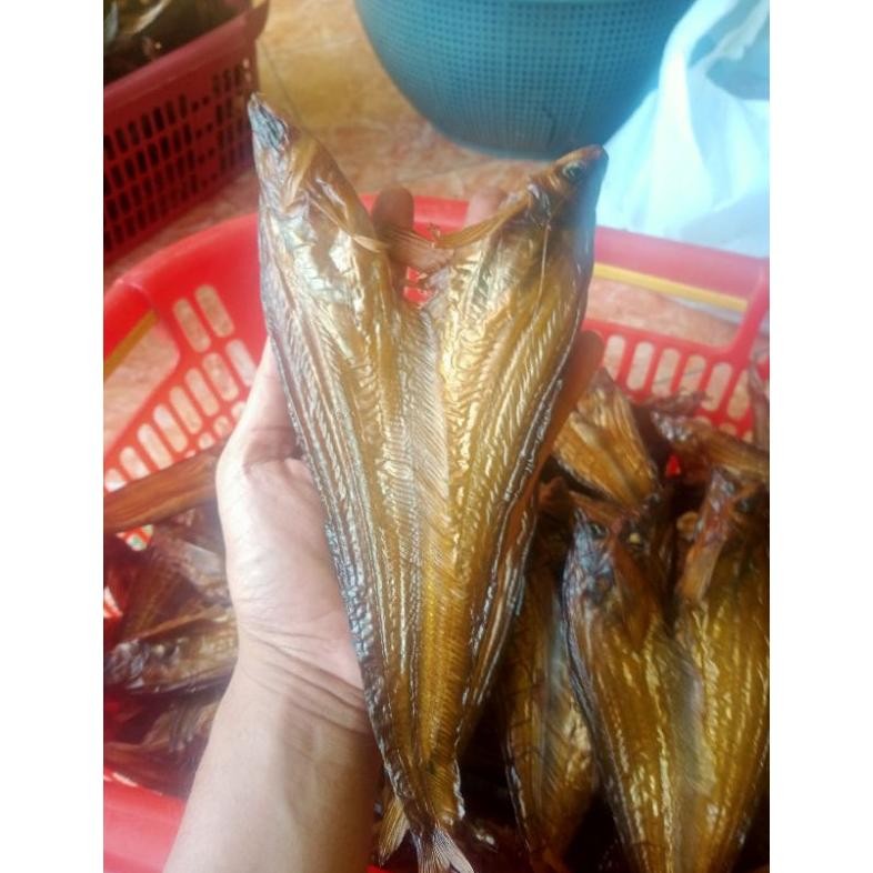 

Termurah Salai Asap Lais D-54