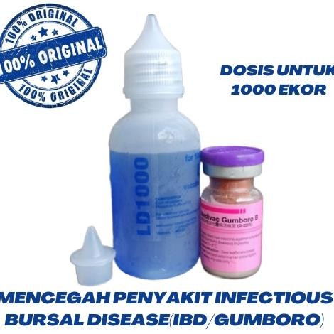 Premium Vaksin Gumboro B Dosis 1000 Vaksin Ayam Berkualitas